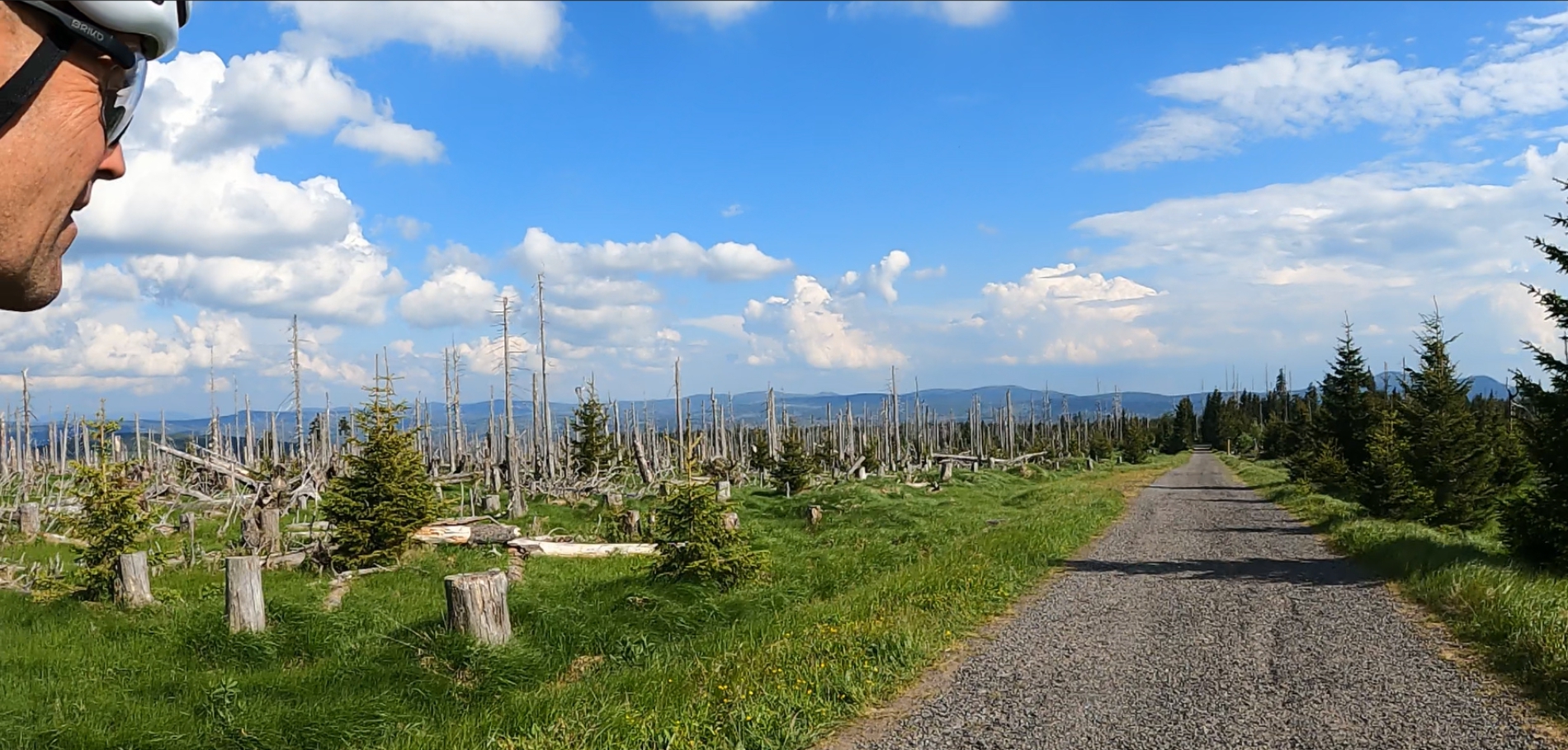 Blick in die Ferne-zum Lusen und in Richtung der Alpen